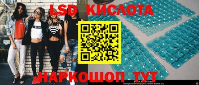 крисы Коммунар