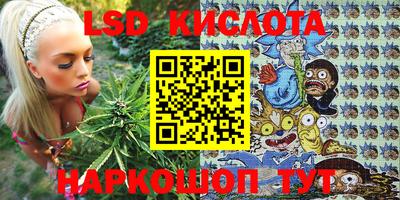 крисы Коммунар