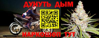 крисы Коммунар