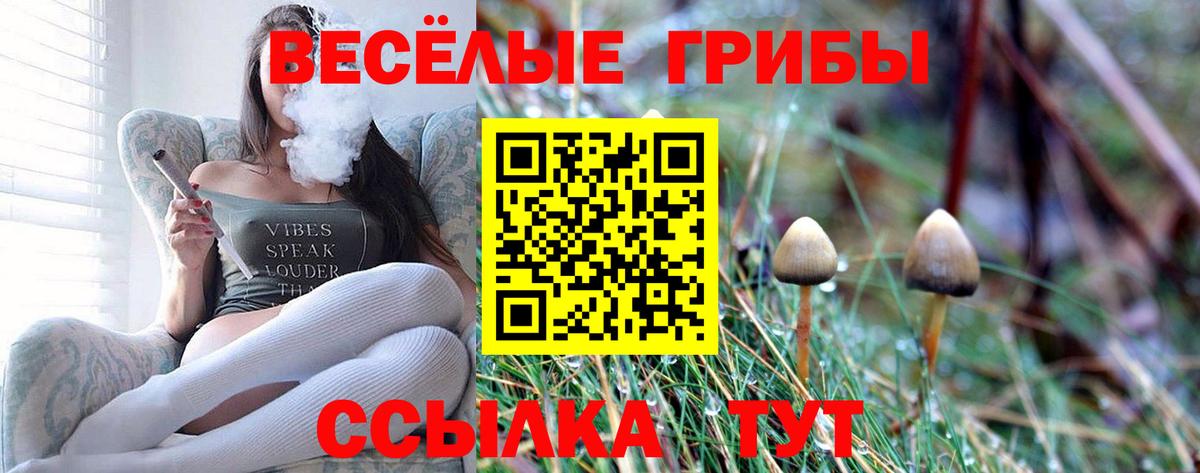 Галлюциногенные грибы Magic Shrooms Кисловодск